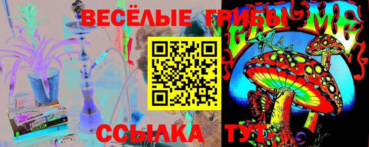 Галлюциногенные грибы GOLDEN TEACHER  Вход с VPN  где можно купить наркотик  Нефтеюганск 